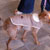 Picture of dog we groom