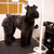 Picture of dog we groom