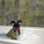 Picture of dog we groom