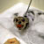 Picture of dog we groom